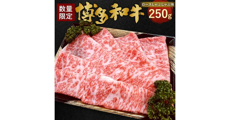 【ふるさと納税】【数量限定 博多和牛】ロース しゃぶしゃぶ用 250g 九州産 福岡県産 すき焼き しゃぶしゃぶ 焼きしゃぶ リブロース サーロイン お取り寄せ 黒毛和種 和牛 牛肉 国産 お肉 肉 冷凍 送料無料