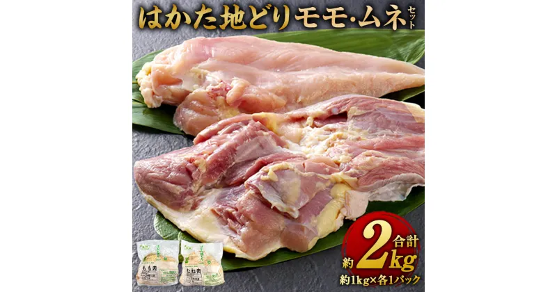 【ふるさと納税】はかた地どり モモ・ムネセット 合計約2kg 約1kg×各1パック 国産 九州産 福岡県産 鶏肉 もも肉 胸肉 肉 お肉 お取り寄せ 冷凍 送料無料