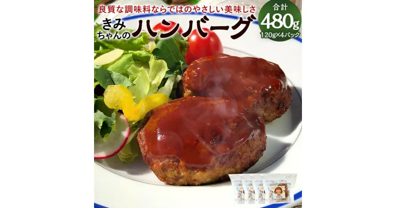 【ふるさと納税】子どもが大好き！きみちゃんのハンバーグ 120g×4パック 合計480g ハンバーグ 冷凍ハンバーグ レンジ 簡単 惣菜 おかず 弁当 冷凍 送料無料