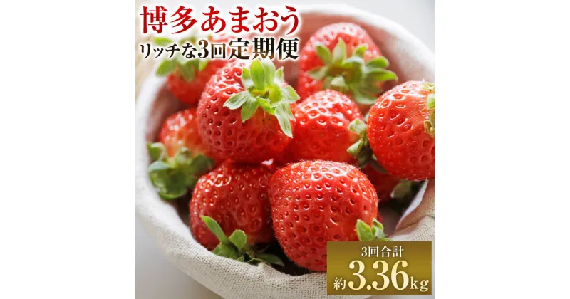 【ふるさと納税】【予約】博多あまおうリッチな 3回 定期便 3回合計約3.36kg 【2024年12月上旬～2025年2月下旬発送予定】 あまおう DX デラックス 福岡県産 いちご イチゴ 苺 フルーツ 果物 くだもの お取り寄せ 九州産 国産 冷蔵 送料無料