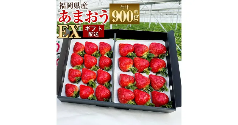 【ふるさと納税】【予約】ギフト配送 福岡県産 あまおう EX 合計約900g 約450g×2パック 特別栽培 【2025年1月上旬～3月下旬発送予定】 お取り寄せ いちご 苺 イチゴ フルーツ 果物 デザート スイーツ 九州産 国産 冷蔵 送料無料