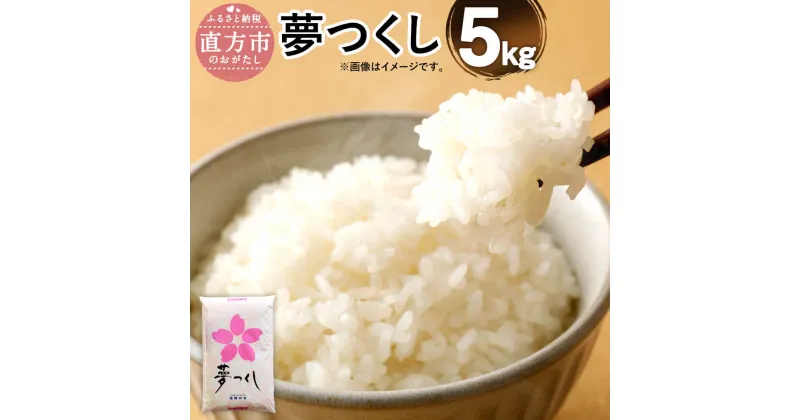 【ふるさと納税】【令和6年産】福岡県産 夢つくし 研ぐお米 5kg お米 精米 米 ご飯 5キロ 九州産 国産 送料無料