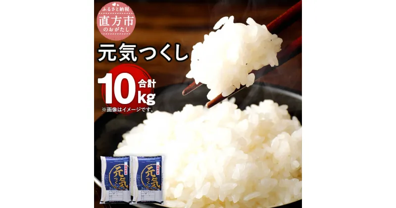 【ふるさと納税】【令和6年産】福岡県産 元気つくし 研ぐお米 合計10kg 5kg×2 お米 精米 米 ご飯 10キロ 九州産 国産 送料無料