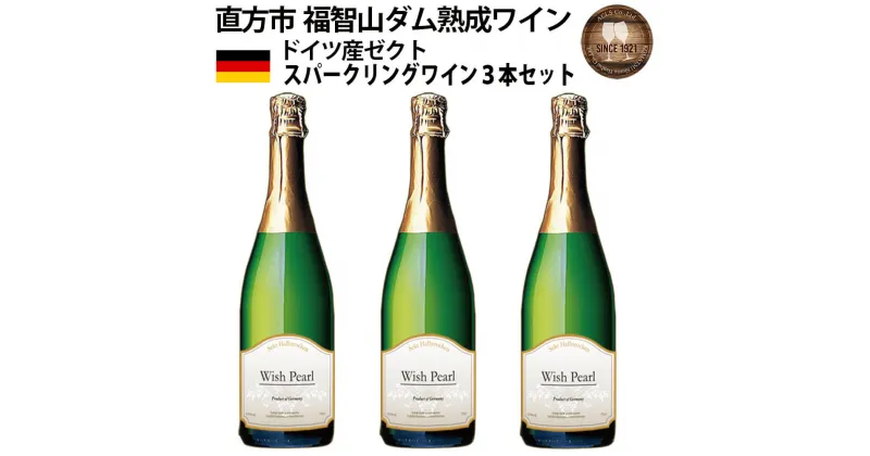 【ふるさと納税】福智山ダム熟成 スパークリングワイン 3本セット FD325 750ml×3本 ウィッシュ・パール ドイツ スパークリング 福岡県 直方市 常温 送料無料