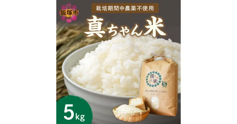 【ふるさと納税】農薬・化学肥料不使用 真ちゃん米 5kg 栽培期間中農薬不使用 栽培期間中化学肥料不使用 令和5年 食品 米類 米 お米 白米 精米 5キロ 安心 安全 国産 おにぎり ふるさと納税 飯塚市 【B6-022】