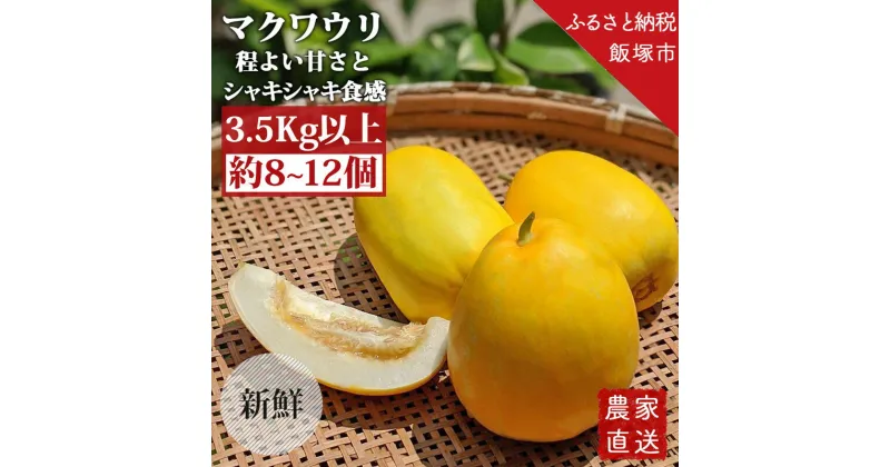 【ふるさと納税】農家直送 程よい甘さのマクワウリ約3.5kg (8-12個)＜2025年7月下旬から発送開始分先行予約＞果物 フルーツ くだもの 期間限定 福岡県産 九州産 国産 まくわうり メロン【A5-471】