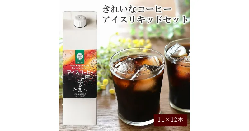 【ふるさと納税】★レビューキャンペーン実施中★きれいなコーヒーアイスリキッドセット12本 アイスコーヒー コーヒー 珈琲 無糖 ブラック ストレート 送料無料 福岡 飯塚市 飯塚 ギフト プレゼント おうち時間 【C8-013】【1204レビューCP】