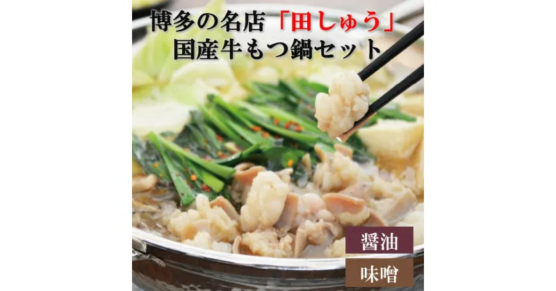 【ふるさと納税】＼スープ種類が選べる！／博多の名店「田しゅう」 国産牛もつ鍋セット 2～3人前 醤油味 味噌味 肉 牛 国産 もつ ホルモン もつ鍋 鍋 セット 詰め合わせ 冷凍