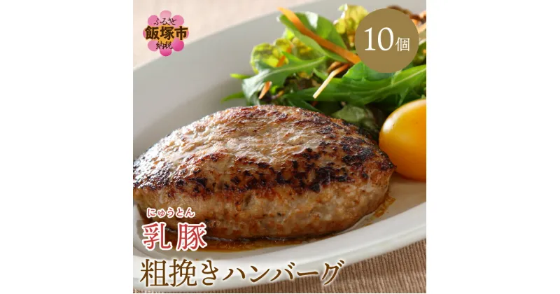 【ふるさと納税】乳豚 粗挽きハンバーグ10個 あらびき ハンバーグ 手ごね 豚肉 送料無料 ふるさと納税 ハンバーグ【A7-035】