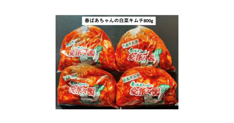 【ふるさと納税】春ばあちゃんの白菜キムチ800g 加工品 手作り キムチ 白菜キムチ おつまみ ごはんのお供 個包装 【A-815】