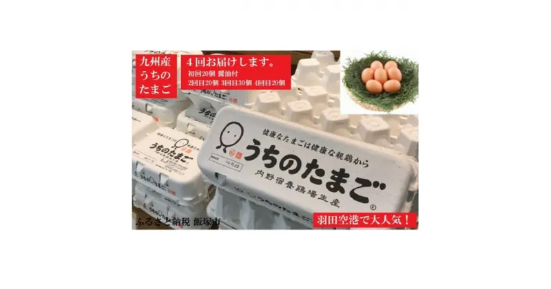 【ふるさと納税】うちのたまご醤油セット(4回お届け) 卵 玉子 醤油 セット 卵かけごはん 定期便 4回 飯塚市 【D5-021】