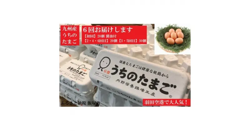 【ふるさと納税】うちのたまご醤油セット(6回お届け) 卵 玉子 醤油 セット 卵かけごはん 定期便 6回 飯塚市 【F8-002】