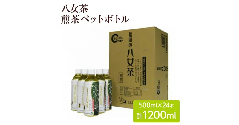 【ふるさと納税】八女茶 煎茶ペットボトル 500ml×24本