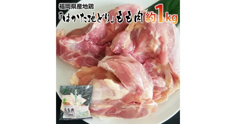 【ふるさと納税】福岡県産地鶏「はかた地どり」もも肉(約1kg)　 お取り寄せグルメ　お取り寄せ 福岡 お土産 九州 ご当地グルメ 福岡土産 取り寄せ 福岡県 食品