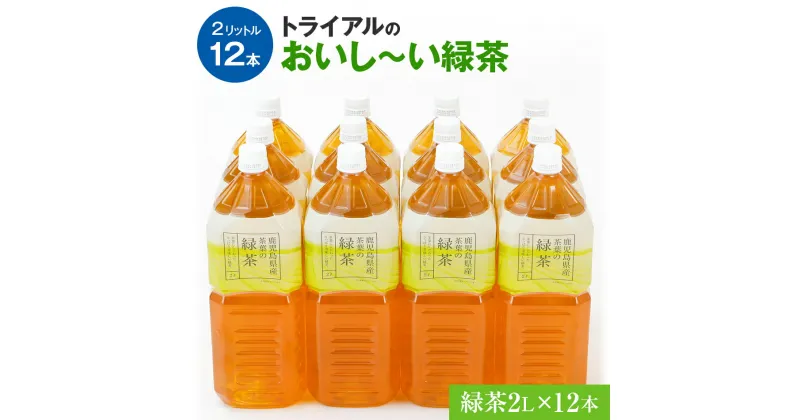 【ふるさと納税】お茶 トライアルのおいし〜い緑茶（2L×12本）茶 飲料 ソフトドリンク 常温 備蓄 保存 福岡 お土産 九州 福岡県 食品