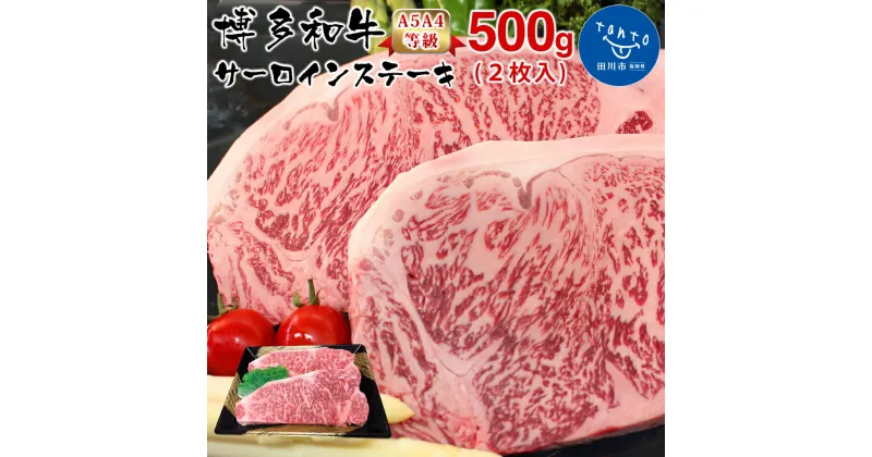 【ふるさと納税】【A5A4等級】博多和牛サーロインステーキ用500g(2枚入)　お取り寄せグルメ　お取り寄せ 福岡 お土産 九州 ご当地グルメ 福岡土産 取り寄せ 福岡県 食品