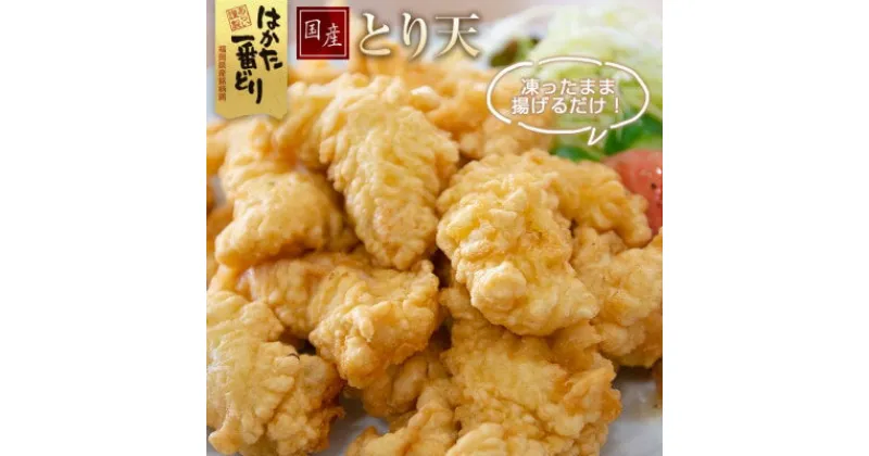 【ふるさと納税】はかた一番どり　とり天1.5kg お取り寄せグルメ お取り寄せ 福岡 お土産 九州 福岡土産 取り寄せ グルメ 福岡県