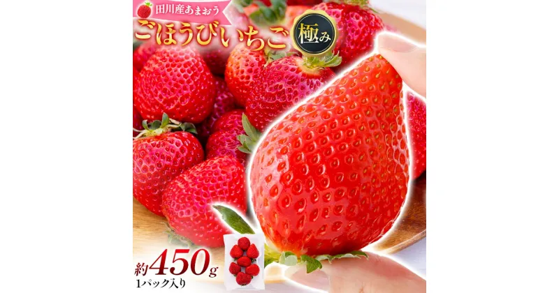 【ふるさと納税】あまおう ごほうびいちご 極み 田川産あまおう 450g ＜2025年1月以降順次発送予定＞ あまおう いちご 苺 大粒 フルーツ 果物 お取り寄せ ご当地グルメ 福岡土産 取り寄せ グルメ 福岡県 食品