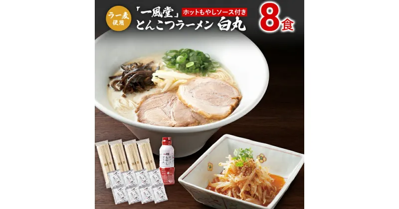 【ふるさと納税】ラー麦使用「一風堂」とんこつラーメン 白丸(8食)【ホットもやしソース付き】 豚骨ラーメン ピリ辛 ストレート麺 お取り寄せグルメ お取り寄せ 福岡 お土産 九州 ご当地グルメ 福岡土産 取り寄せ グルメ 福岡県 食品