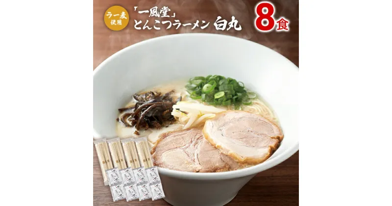 【ふるさと納税】ラー麦使用「一風堂」とんこつラーメン 白丸(8食) 豚骨ラーメン ストレート麺 お取り寄せグルメ お取り寄せ 福岡 お土産 九州 ご当地グルメ 福岡土産 取り寄せ グルメ 福岡県 食品