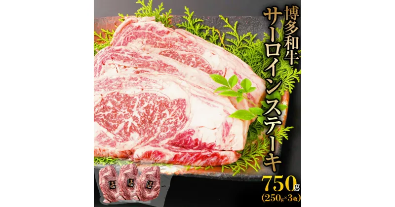 【ふるさと納税】博多和牛　サーロインステーキ　750g お取り寄せグルメ お取り寄せ 福岡 お土産 九州 福岡土産 取り寄せ グルメ 福岡県