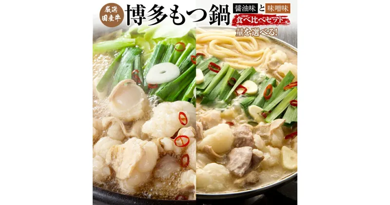 【ふるさと納税】厳選国産牛博多もつ鍋の醤油味と味噌味の食べ比べセット　お取り寄せグルメ お取り寄せ 福岡 お土産 九州 福岡土産 取り寄せ グルメ 福岡県