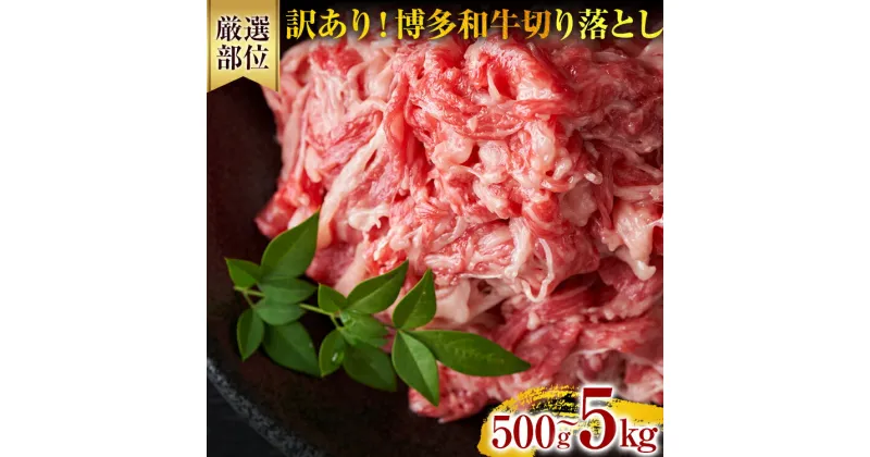 【ふるさと納税】訳あり！博多和牛切り落とし カレー しゃぶしゃぶ ビーフシチュー 国産黒毛和牛肉 小分け 小間切れ 切落し 牛バラ肉 牛肩肉 福岡 お取り寄せグルメ お取り寄せ 福岡 お土産 九州 ご当地グルメ 福岡土産 取り寄せ 福岡県 食品