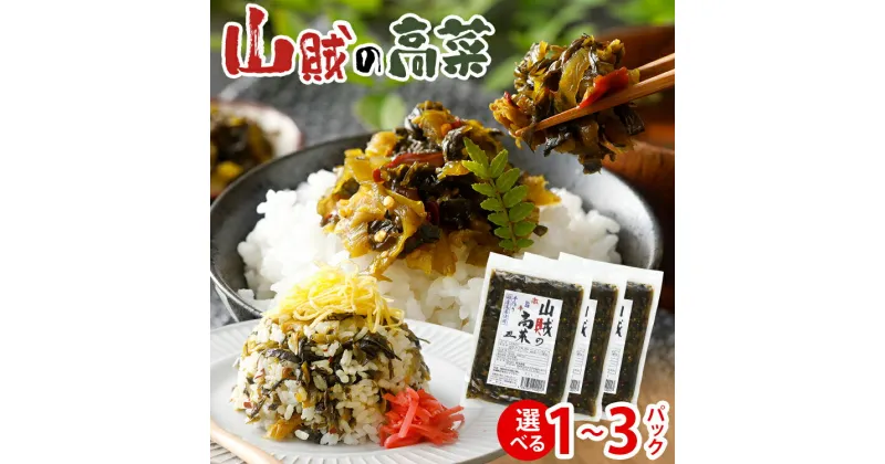 【ふるさと納税】辛子高菜 240g×1パック 2パック 3パック 山賊の高菜 からし高菜 メール便 ポッキリ お米に合う ご飯のお供 おつまみ 国産 無添加 お取り寄せ 福岡 お土産 九州 グルメ 福岡県