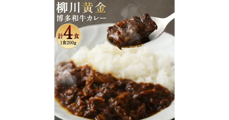 【ふるさと納税】柳川黄金博多和牛カレー 200g×4箱 4人前 博多和牛 カレー スパイス付き お取り寄せ グルメ 冷凍 送料無料