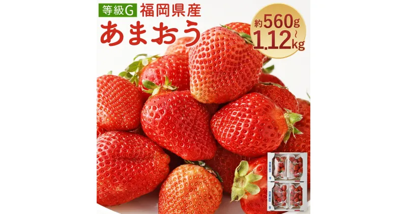 【ふるさと納税】あまおう 等級G 約560g(2パック)/約1.12kg(4パック) 選べる内容量 1パック約280g 先行受付 事前予約 いちご 苺 フルーツ 果物 福岡県産 冷蔵 送料無料【2025年2月上旬～3月下旬に順次発送予定】