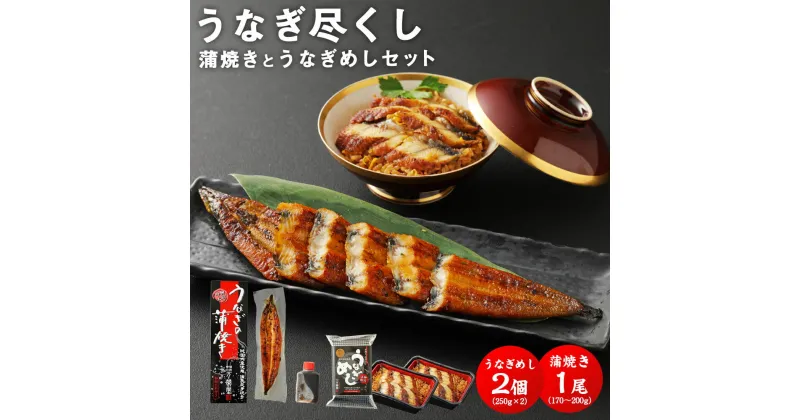 【ふるさと納税】うなぎ尽くし 蒲焼きとうなぎめし 2点 セット 1尾 170〜200g うなぎめし 2個 鰻 国産 うなぎ ウナギ 蒲焼き うな丼 うな重 国内産 国産 土用丑の日 冷凍 九州 ギフト 贈り物 送料無料