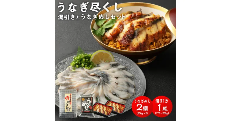 【ふるさと納税】うなぎ尽くし 湯引き 刺身 とうなぎめし 2点 セット 1尾 170〜200g うなぎめし 250g×2個 鰻 うなぎ ウナギ 蒲焼き うな丼 国内産 国産 土用丑の日 冷凍 九州 送料無料