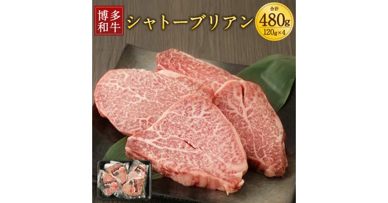 【ふるさと納税】柳川産 博多和牛 シャトーブリアン 計480g 120g×4パック 牛肉 お肉 和牛 ステーキ 福岡県産 九州産 国産 ギフト 贈り物 送料無料