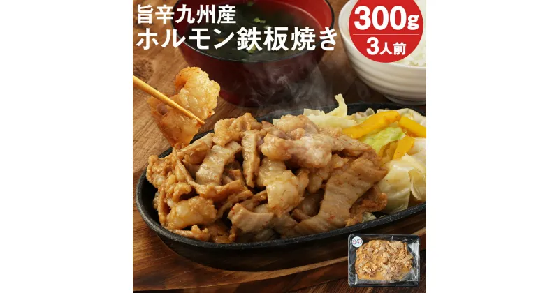 【ふるさと納税】レンジでチン！旨辛 九州産 ホルモン鉄板焼き 300g 3人前 ホルモン もつ 味付き レンチン 温めるだけ 調理済み おつまみ 惣菜 冷凍 送料無料