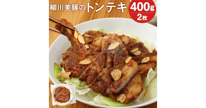 【ふるさと納税】レンジでチン！柳川美豚のトンテキ 200g×2枚 合計400g 味付き トンテキ 豚肉 ステーキ レンチン 温めるだけ 調理済み おかず 惣菜 冷凍 送料無料