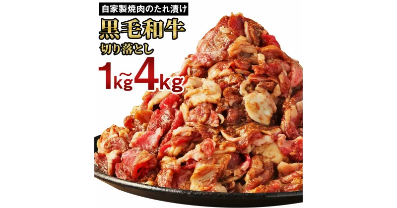 【ふるさと納税】大丈夫博士が作る！ 自慢の自家製焼肉のたれ漬け黒毛和牛切落し 約1kg/約1.5kg/約2kg/約3kg/約4kg 選べる 黒毛和牛 和牛 牛肉 お肉 小分け 冷凍 九州産 国産 送料無料