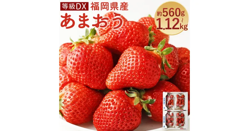 【ふるさと納税】あまおう 等級DX 約560g(2パック)/約1.12kg(4パック) 選べる内容量 1パック約280g 先行受付 事前予約 いちご 苺 フルーツ 果物 福岡県産 冷蔵 送料無料【2025年2月上旬～3月下旬に順次発送予定】