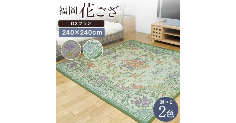 【ふるさと納税】福岡花ござ DXフラン 240×240cm ベージュ グリーン ござ カーペット 選べる2色 い草 いぐさ 生活雑貨 インテリア 天然素材 袋織り 国産い草 福岡県産 国産 送料無料