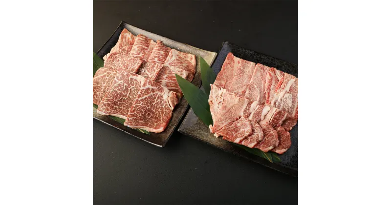 【ふるさと納税】 黒毛和牛 焼肉 2部位セット 合計600g 300g×各1パック 2種類 赤身 霜降り A5ランク カット済み 豊作ファーム産 牛肉 和牛 お肉 焼き肉 九州産 福岡県産 国産 冷凍 送料無料