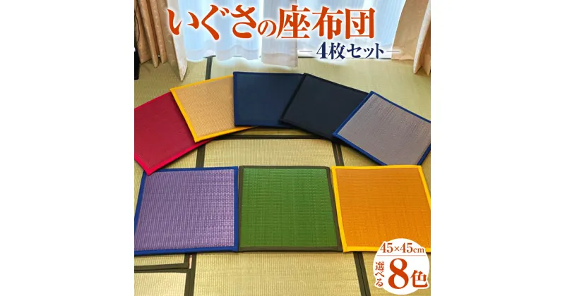 【ふるさと納税】いぐさの座布団 4枚セット 45cm×45cm 8色 ブラック ネイビー グリーン シャインゴールド ライトブラウン レッド パープル グレー い草 いぐさ たたみ 畳 置き畳 座布団 セット 日本製 国産 福岡県 柳川市 送料無料