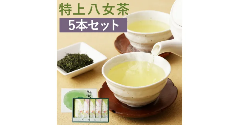 【ふるさと納税】特上八女茶詰め合わせ 5本セット 100g×5袋 茶葉 お茶 八女茶 日本茶 煎茶 国産 送料無料