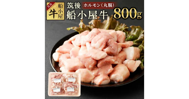 【ふるさと納税】筑後 船小屋牛 ホルモン 丸腸 合計800g 200g×4パック 小分け 牛肉 お肉 もつ 焼肉 もつ鍋 冷凍 福岡県産 国産 送料無料