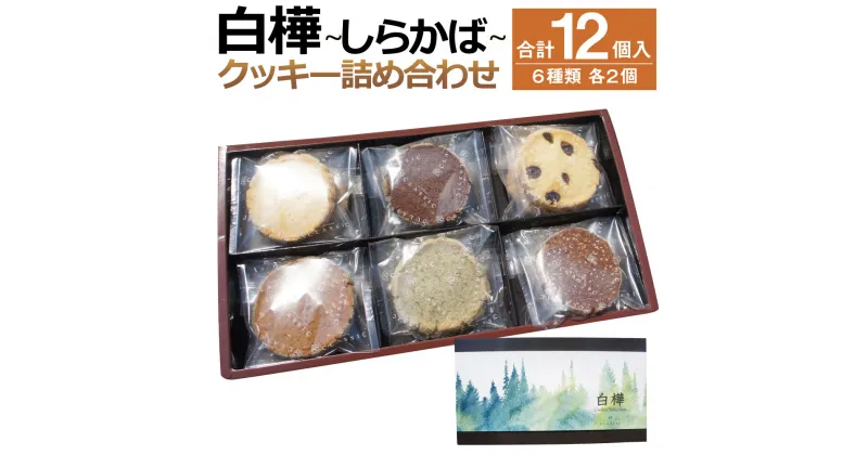 【ふるさと納税】白樺 ～しらかば～ 合計12個 6種類 各2枚 クッキー スイーツ お菓子 洋菓子 詰め合わせ セット 福岡県 筑後市 送料無料