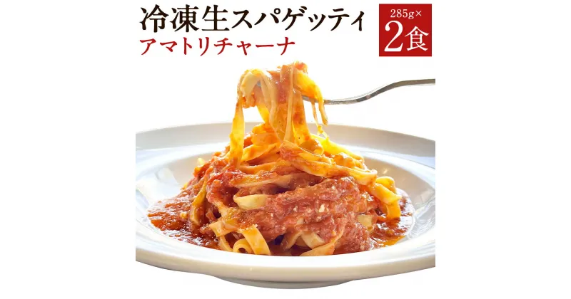 【ふるさと納税】冷凍生スパゲッティ アマトリチャーナ 285g×2食 合計570g 2人前 粉チーズ付き トマトソース パスタ 冷凍パスタ スパゲティ イタリアン 冷凍 送料無料