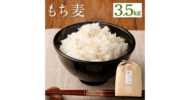 【ふるさと納税】もち麦 3.5kg 麦 ご飯 お米 ヘルシー 食物繊維 ダイエット 栽培期間中農薬不使用 九州産 福岡県産 国産 送料無料