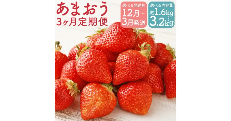 【ふるさと納税】【選べる発送月】【3回定期便】福岡県産 あまおう 合計約1.6kg/合計約3.2kg 選べる内容量 1パック約270g 3回お届け 果物 フルーツ いちご 苺 福岡県産 九州産 送料無料 【2024年12月上旬より順次発送予定】