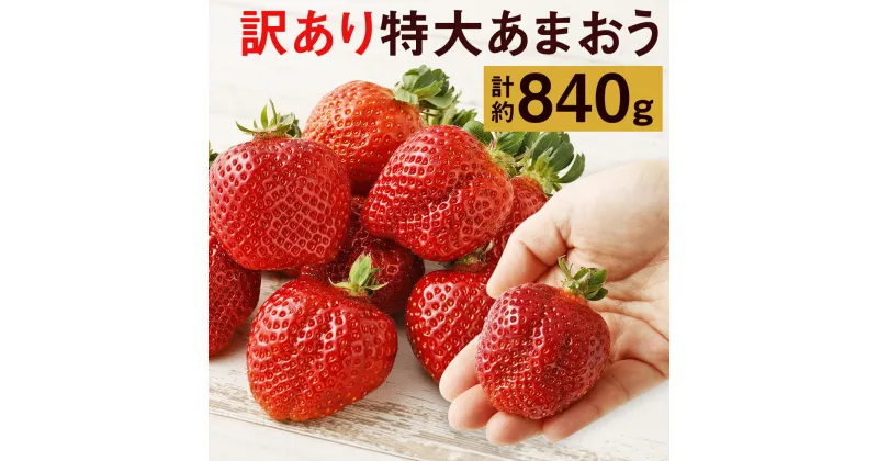 【ふるさと納税】訳あり 特大あまおう 合計約840g 420g×2箱 9玉～15玉入×2箱 いちご 果物 フルーツ 苺 あまおう 特大 ご家庭用 福岡県産 九州産 送料無料【2025年1月上旬～3月下旬に順次発送予定】