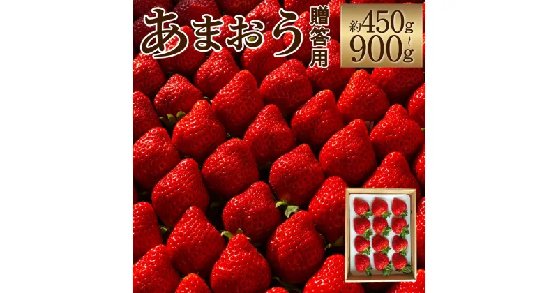 【ふるさと納税】特別栽培の濃厚完熟あまおう 贈答用 約450g/約900g 選べる内容量 いちご イチゴ 苺 くだもの 果物 フルーツ 福岡県産 九州産 パック 冷蔵 化粧箱入り ギフト 贈りもの 送料無料【2025年1月上旬～3月下旬に順次発送予定】